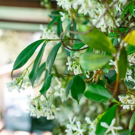 Agriturismo Filettro فولتيرا المظهر الخارجي الصورة