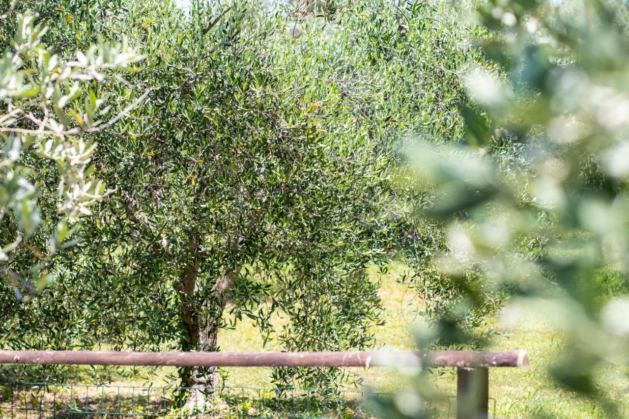 Agriturismo Filettro فولتيرا المظهر الخارجي الصورة