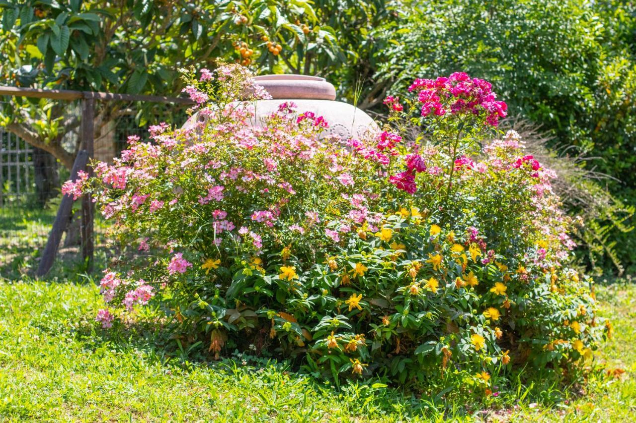 Agriturismo Filettro فولتيرا المظهر الخارجي الصورة