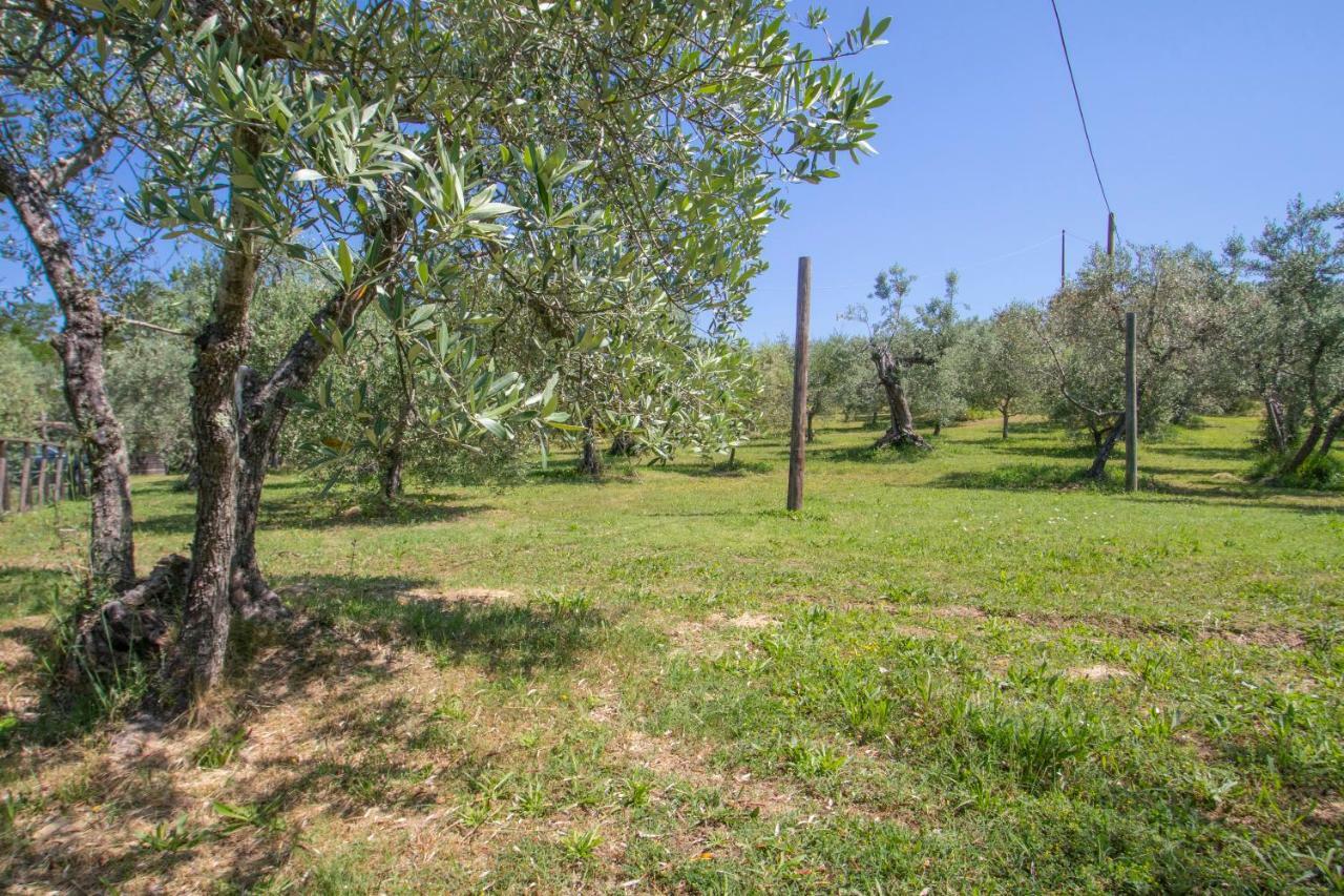 Agriturismo Filettro فولتيرا المظهر الخارجي الصورة