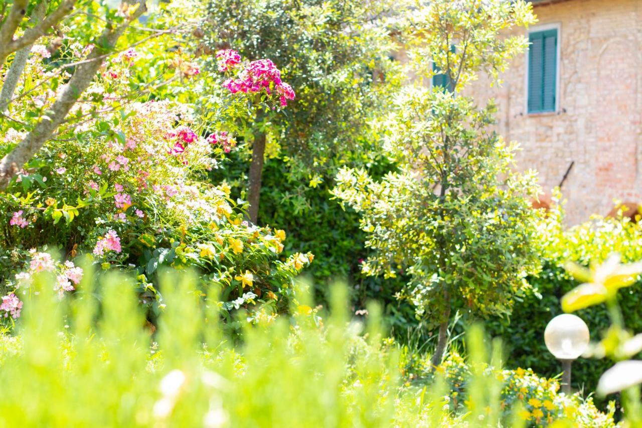 Agriturismo Filettro فولتيرا المظهر الخارجي الصورة